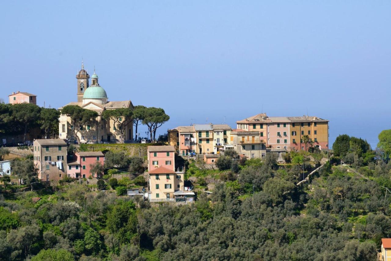Olivari - Apt La Lavanda * Camogli