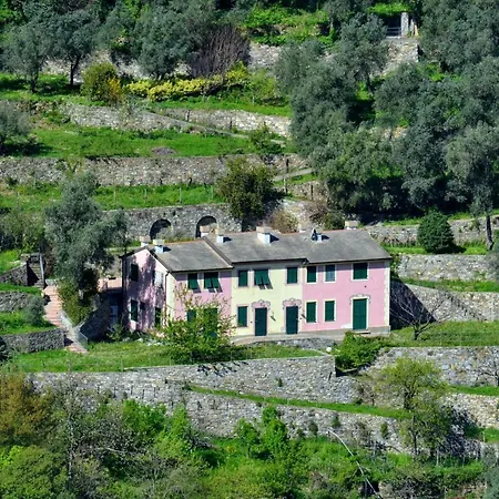 Villa Olivari - Apt La Lavanda Camogli Exterior photo