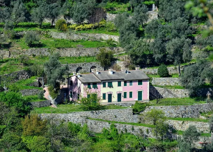 Villa Olivari - Apt La Lavanda