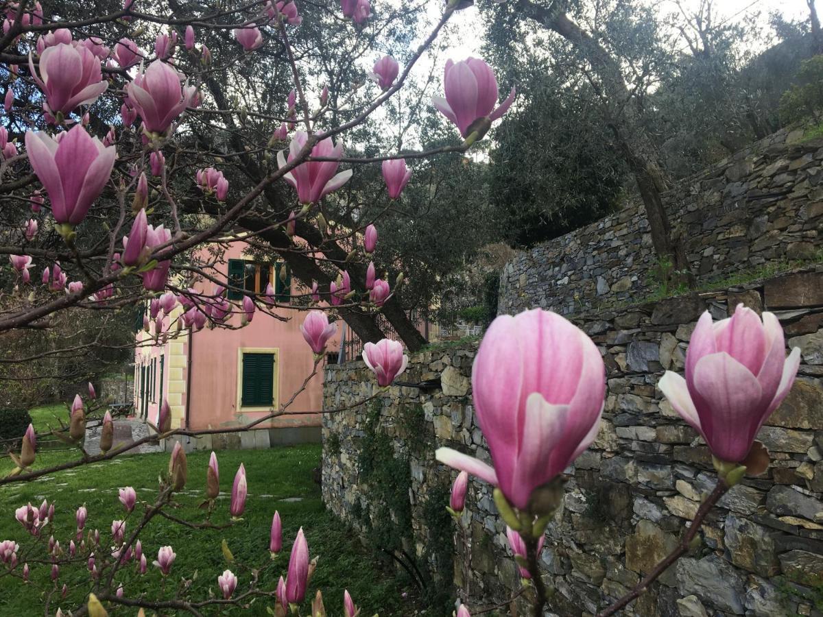 Olivari - Apt La Lavanda Apartment