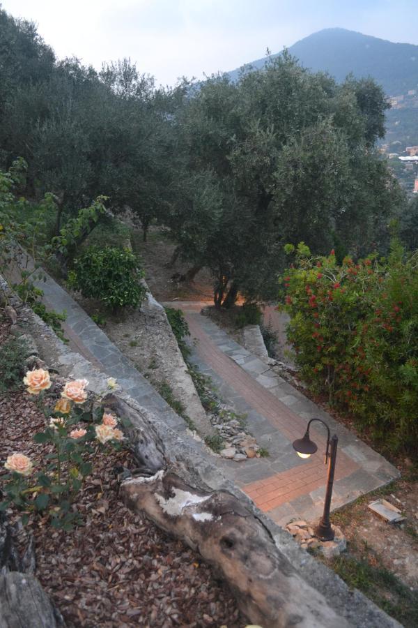 Apartment Olivari - Apt La Lavanda