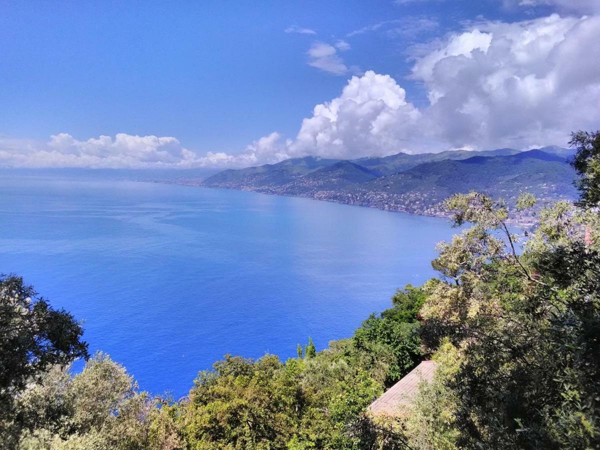 Olivari - Apt La Lavanda * Camogli