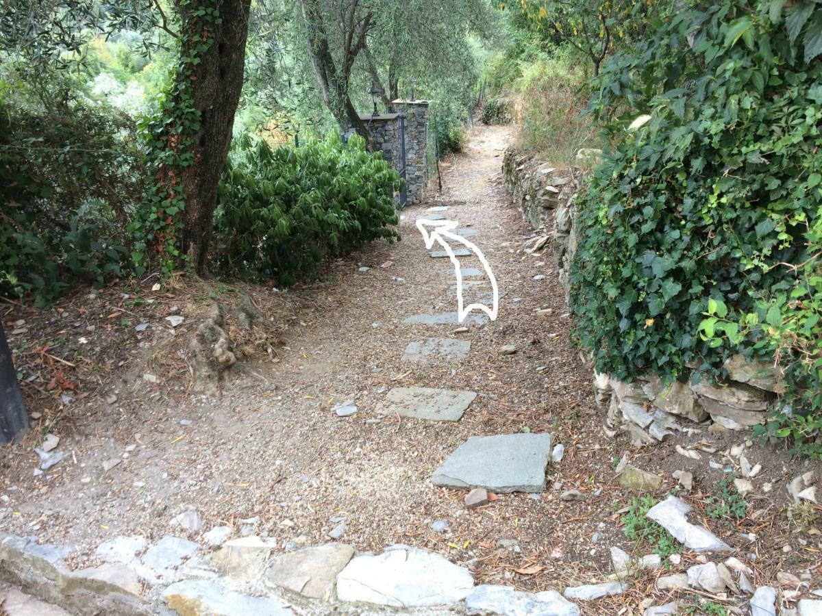 Olivari - Apt La Lavanda *
