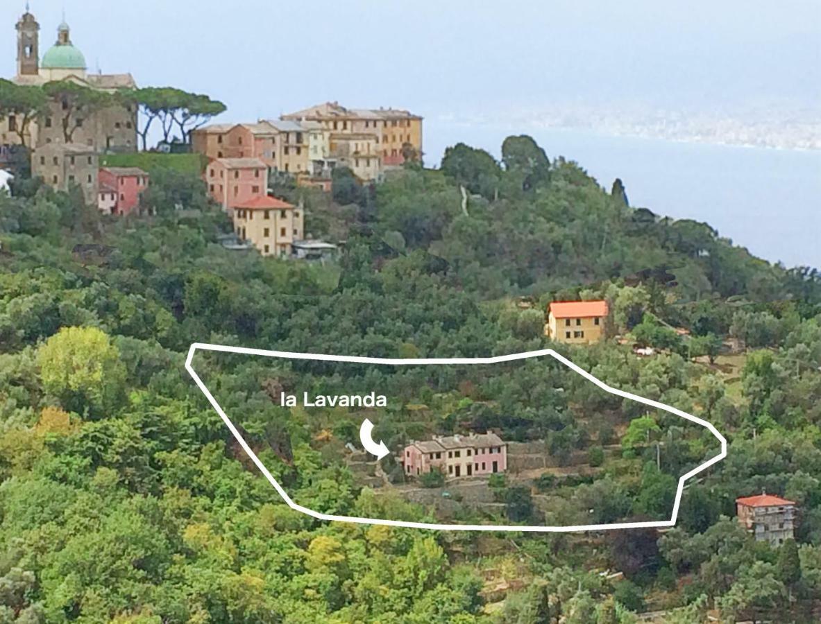 Olivari - Apt La Lavanda Apartment Camogli