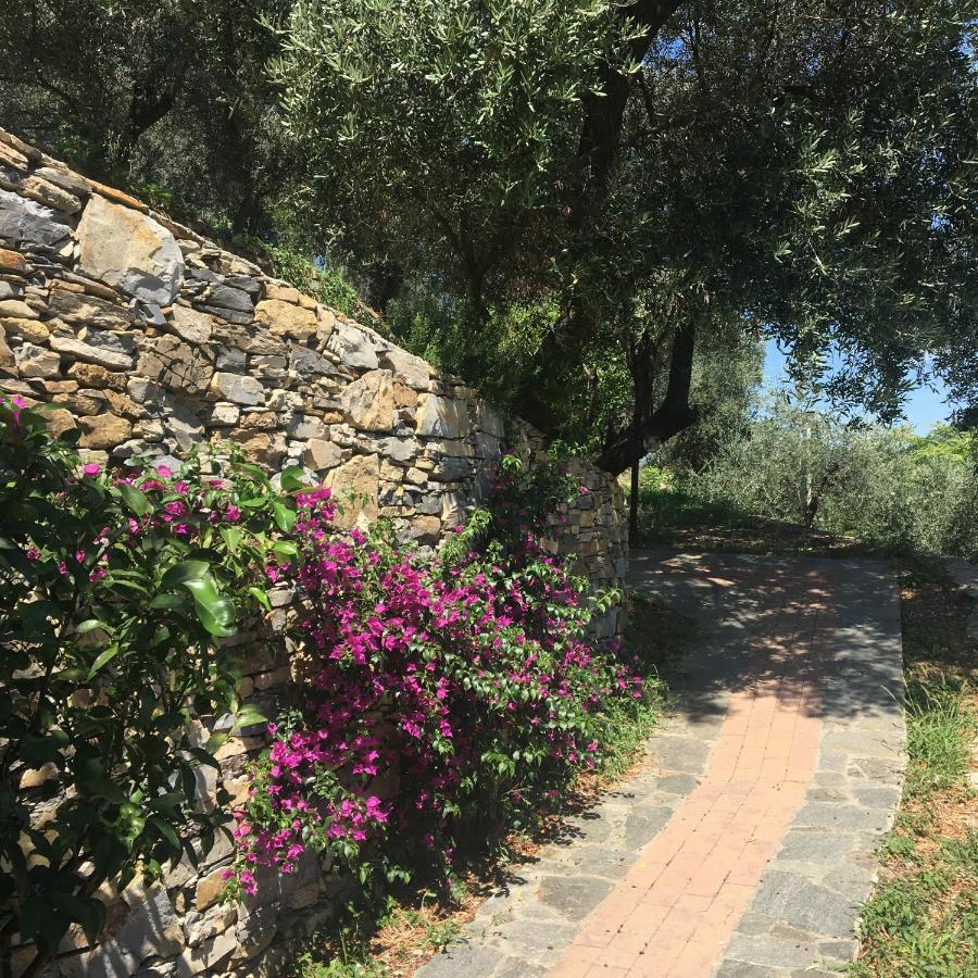 Apartment Olivari - Apt La Lavanda Camogli