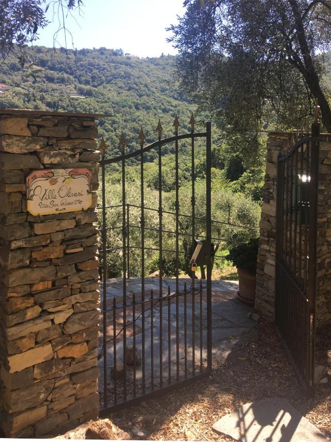 Olivari - Apt La Lavanda